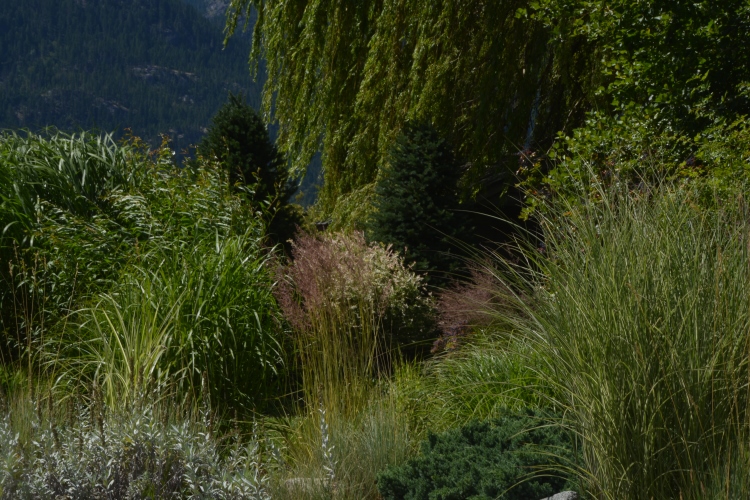 japanese garden
